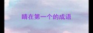 睛在第一个的成语
