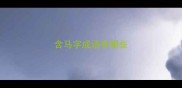 含马字成语有哪些