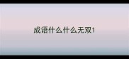 成语什么什么无双