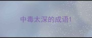 中毒太深的成语