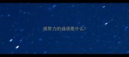 很努力的成语是什么