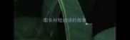 取长补短成语的故事