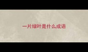一片绿叶是什么成语