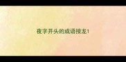 夜字开头的成语接龙