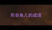 形容鱼儿的成语