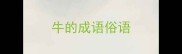 牛的成语俗语