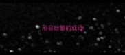 形容纷繁的成语