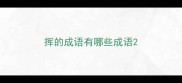 挥的成语有哪些成语
