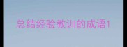 总结经验教训的成语