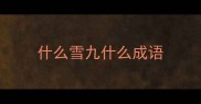 什么雪九什么成语