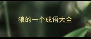 狼的一个成语大全