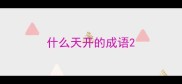什么天开的成语