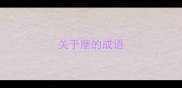 关于靡的成语