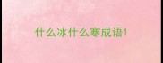 什么冰什么寒成语