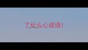 了什么心成语