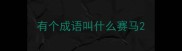 有个成语叫什么赛马