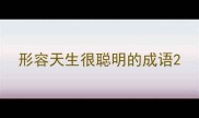 形容天生很聪明的成语