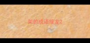 架的成语接龙