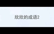 欣欣的成语