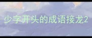少字开头的成语接龙