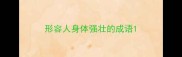 形容人身体强壮的成语