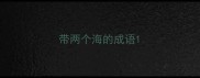 带两个海的成语