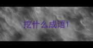 挖什么成语