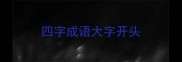 四字成语大字开头