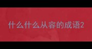 什么什么从容的成语
