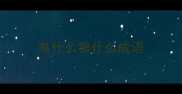 鬼什么狼什么成语