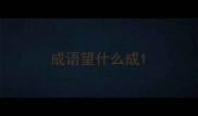 成语望什么成