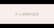什么缘槐的成语