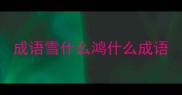 成语雪什么鸿什么成语