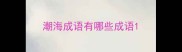 潮海成语有哪些成语