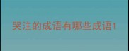哭注的成语有哪些成语