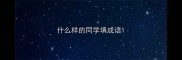 什么样的同学填成语