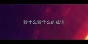转什么转什么的成语
