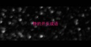 铮的开头成语