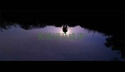劣组词及成语