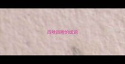 百啥百啥的成语