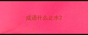 成语什么止水