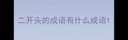 二开头的成语有什么成语