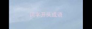 词字开头成语