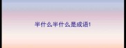 半什么半什么是成语