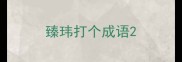 臻玮打个成语