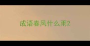 成语春风什么雨