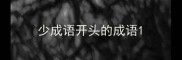 少成语开头的成语