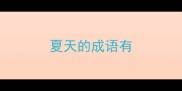 夏天的成语有