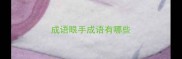 成语眼手成语有哪些