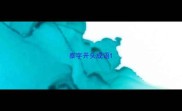 泰字开头成语